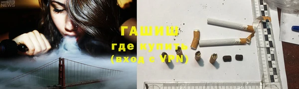 прущие грибы Алзамай