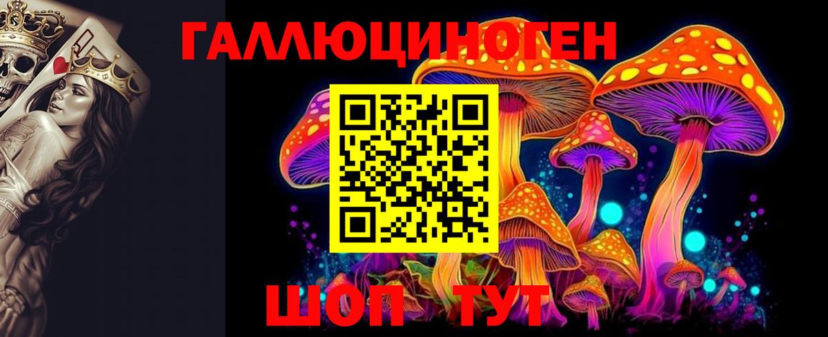 Псилоцибиновые грибы мухоморы  как найти   Сарапул  Вход с VPN  Галлюциногенные грибы Psilocybe 
